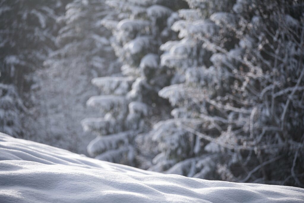 Glacier Bear Condo on Whitefish Mountain welcomes you and your family to stay for year around fun in Whitefish Montana. A true slopeside location. 